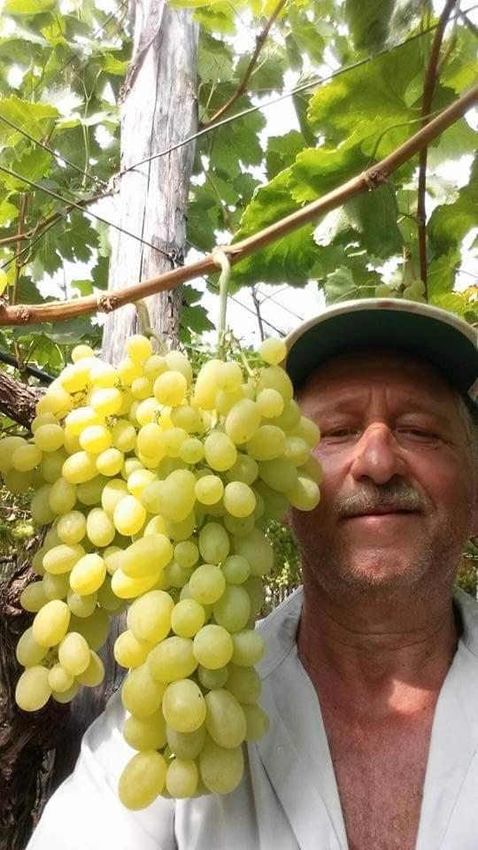 Vacanze Al San Domenico Mola di Bari Zewnętrze zdjęcie