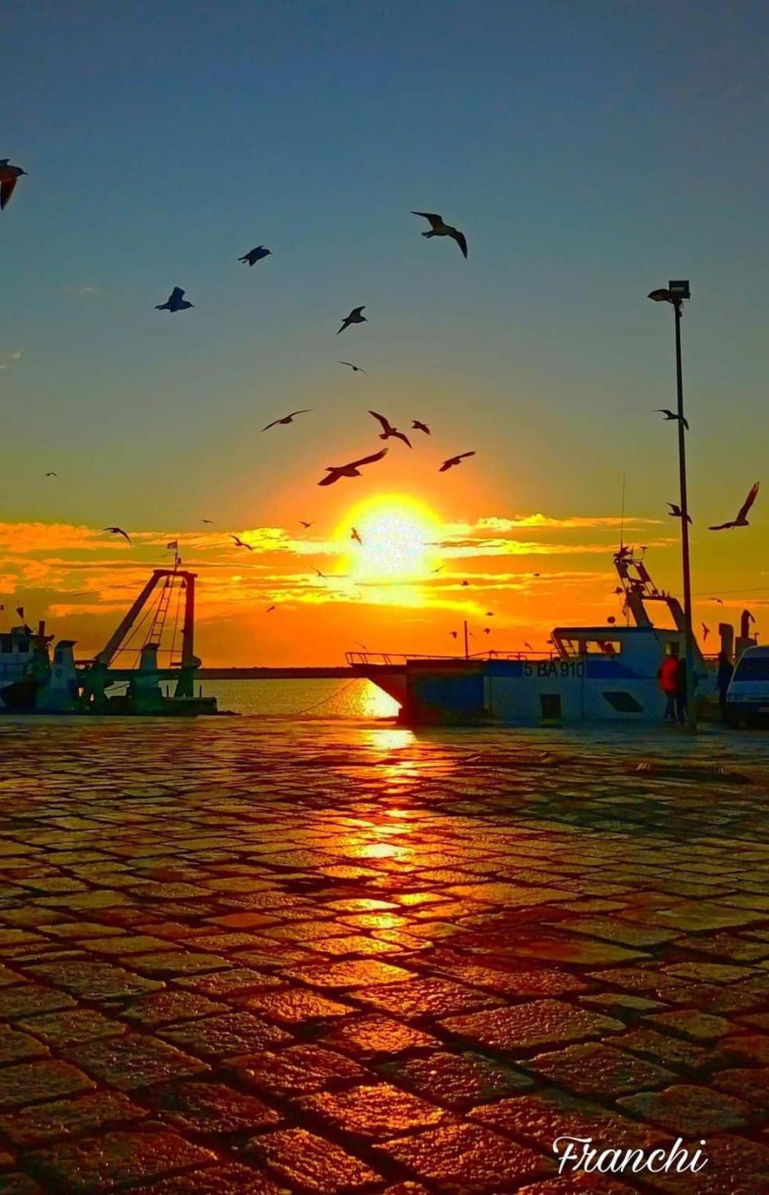 Vacanze Al San Domenico Mola di Bari Zewnętrze zdjęcie